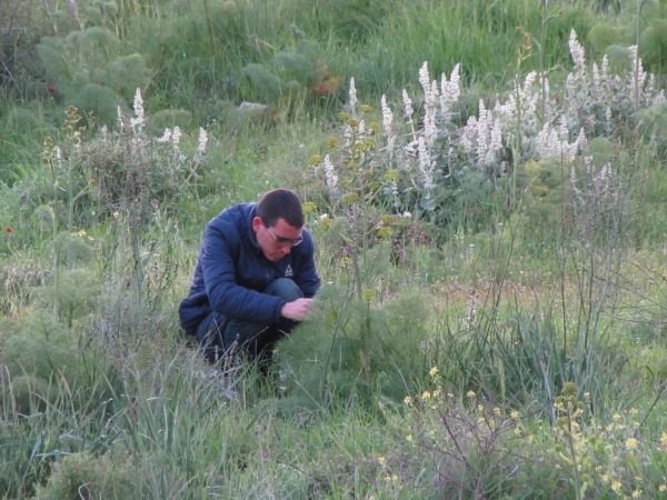 student in a field