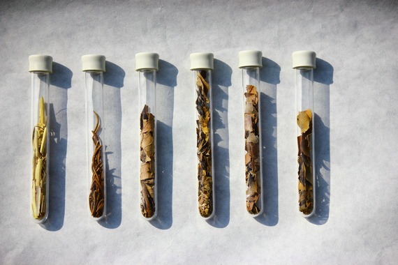 Litter tubes