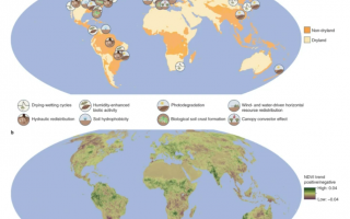 drylands figure map