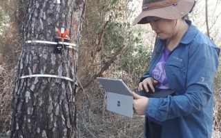 Field work