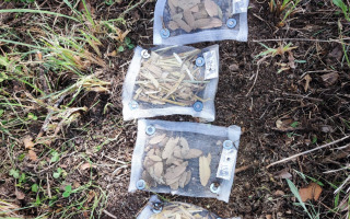 litterbags