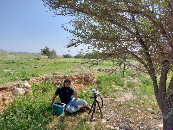student sitting by a tree