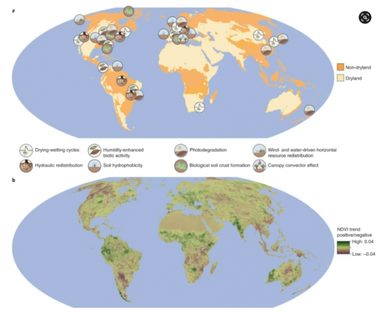 drylands figure map