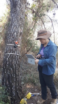 Field work