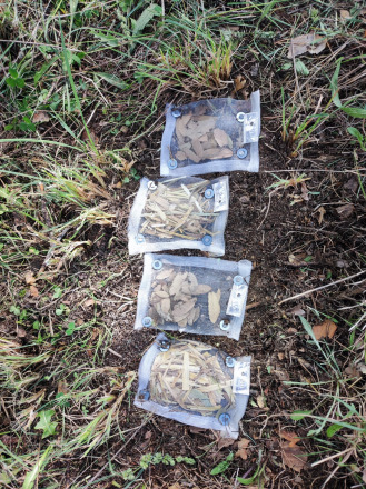 litterbags