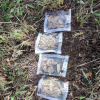 litterbags