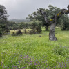 Meteorological stations installed across an aridity gradient in Spain